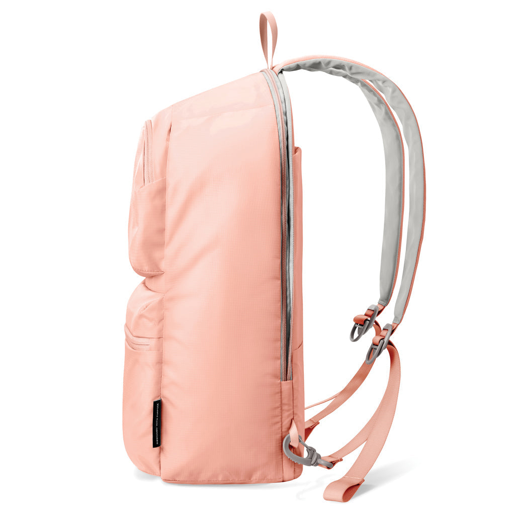 Switch Backpack